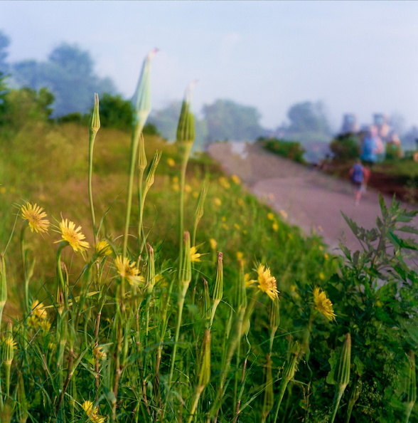 Town Branch Trail - 06 - Jogger double-exposed.jpg